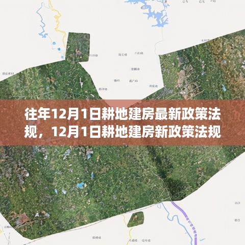 耕地建房政策动态，机遇与成就的种子在变革中播种，解读最新法规变化（12月版）