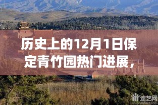 历史上的保定青竹园进展，学习之光照亮每一步成长之路。