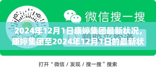 康婷集团至2024年最新深度分析，最新状况及其影响概览