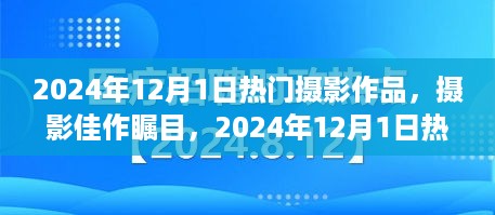 摄影佳作瞩目，2024年12月1日热门摄影作品概览