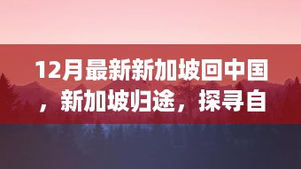 新加坡归途之旅，探寻自然美景，重拾内心宁静与欢笑