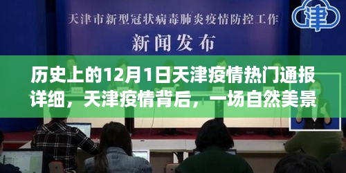 天津疫情通报背后的自然美景之旅，寻找内心的平和与宁静之路