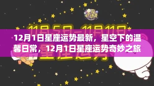 12月1日星座运势奇妙之旅，星空下的温馨日常