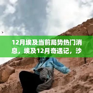 埃及局势揭秘，沙漠中的温情与友情的碰撞——最新埃及奇遇记