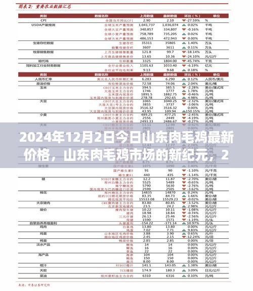 山东肉毛鸡市场新纪元，智能价格追踪与前沿体验之旅——2024年最新价格动态解析