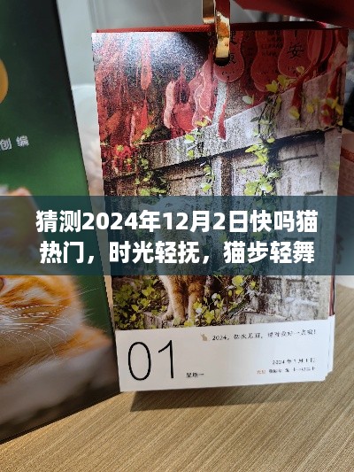 温馨时光展望，快吗猫与时光轻舞——2024年12月2日热门预测记