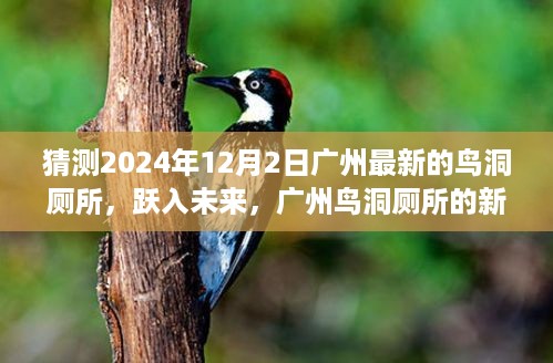 广州鸟洞厕所新篇章，跃入未来，学习变革，自信闪耀的未来展望（猜测广州最新鸟洞厕所发展）