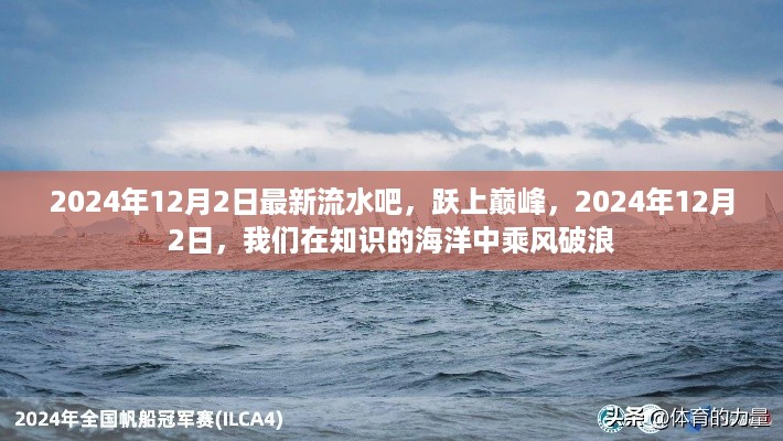 跃上巅峰，知识海洋中的乘风破浪——最新流水记录，2024年12月2日