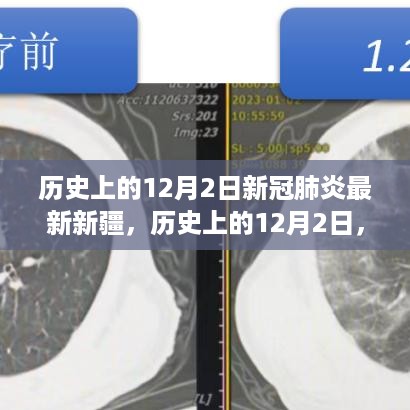 2024年12月3日 第15页