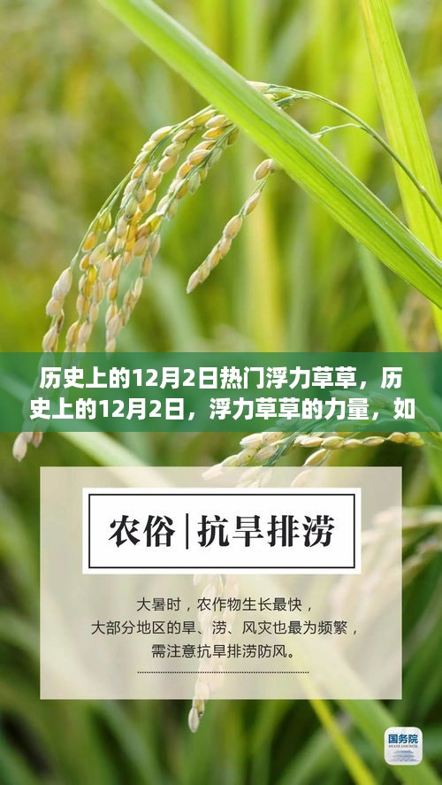 历史上的12月2日，浮力草草的力量如何点燃自信与成就之光之路