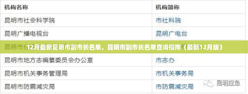 昆明市副市长名单查询指南（最新12月更新版）