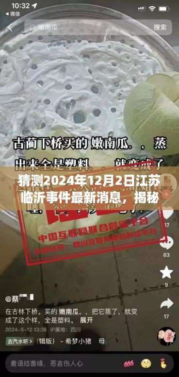 揭秘江苏临沂事件，最新消息预测与解读未来事件动向（2024年12月2日更新）