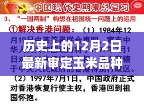 多维度视角下的探讨与观点阐述，最新审定玉米品种的历史沿革与12月2日事件回顾