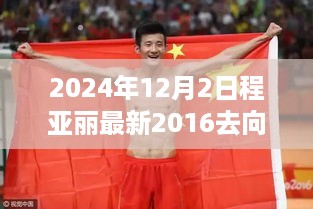 日程亚丽的奇妙旅程，日常更新与友情纽带（2024年回顾）