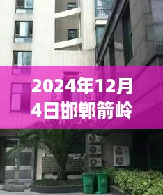 2024年12月4日 第6页