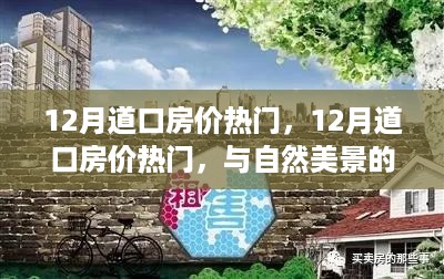 12月道口房价热门与自然美景的邂逅，寻找内心的宁静之旅