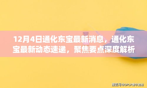 通化东宝最新动态速递，聚焦要点深度解析，十二月四日更新消息