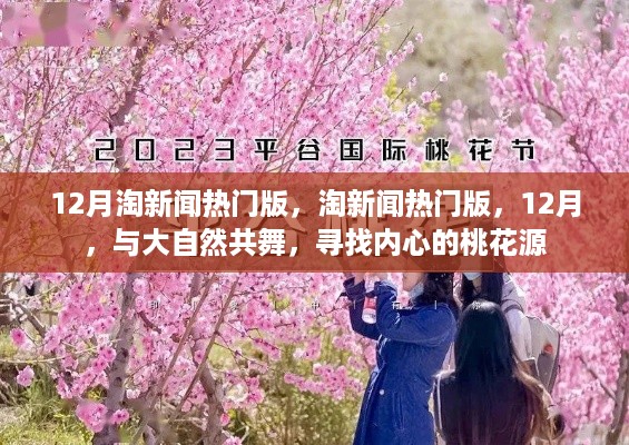 淘新闻热门版，与大自然共舞，探寻内心桃花源，十二月精选资讯速递