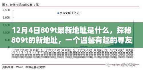 探秘809t新地址，温馨有趣的寻友之旅