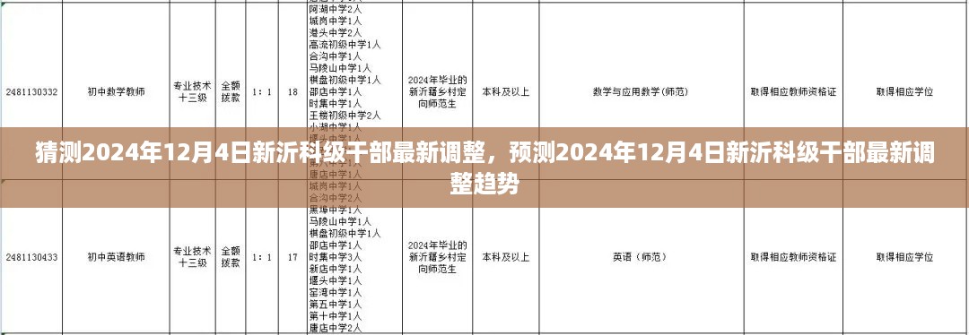 2024年12月4日新沂科级干部最新调整趋势预测