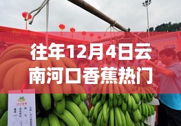 科技赋能生活，揭秘云南河口香蕉热门价格的智能新纪元（往年12月4日）