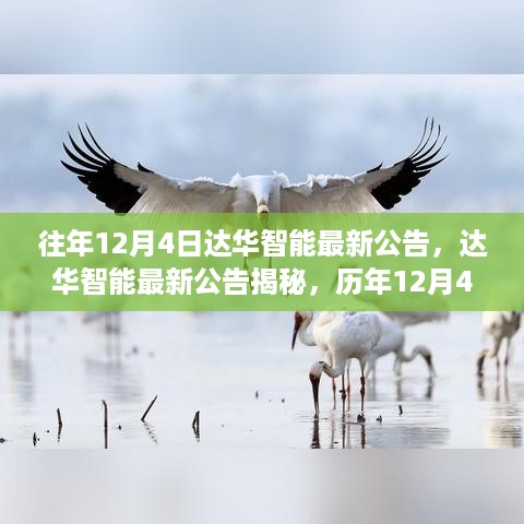 达华智能历年12月4日公告揭秘与要点解析