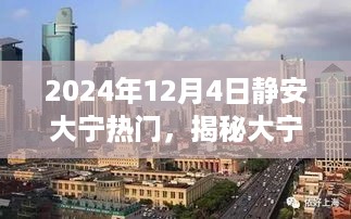 揭秘大宁板块，静安热门生活指南（2024年12月4日版）