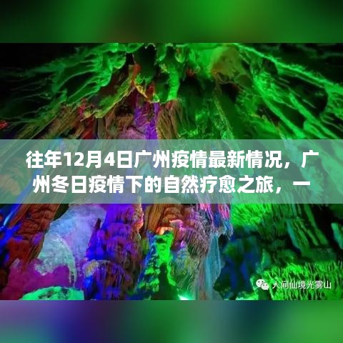 广州疫情下的心灵宁静之旅，冬日自然疗愈之旅最新动态