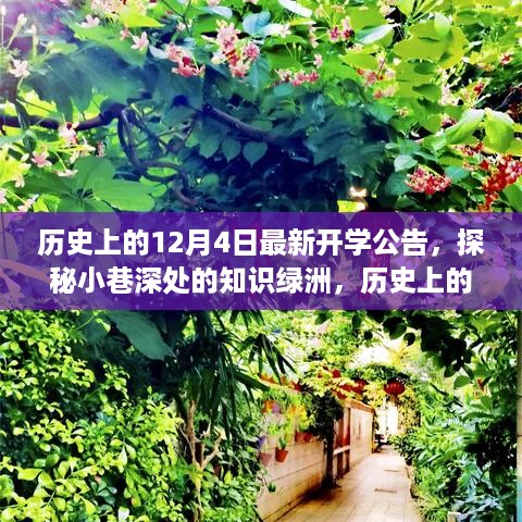 探秘知识绿洲，历史上的十二月四日新开学公告与独特小店的奇遇日