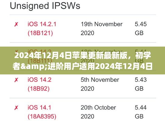 苹果最新版更新全程指南，初学者与进阶用户适用（2024年12月4日版）