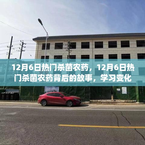 12月6日热门杀菌农药背后的故事，学习、自信与成就的生根发芽