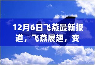 飞燕展翅的力量，学习带来的自信与成就感——12月6日最新报道