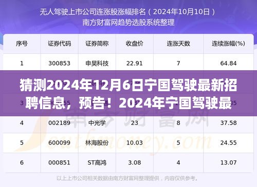 揭秘2024年宁国驾驶最新招聘信息，不容错过的驾驶岗位招募预告