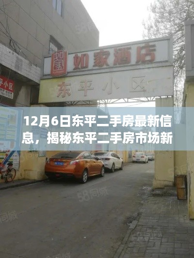 揭秘东平二手房市场新宠，特色小店与最新房源信息一网打尽（最新12月更新）