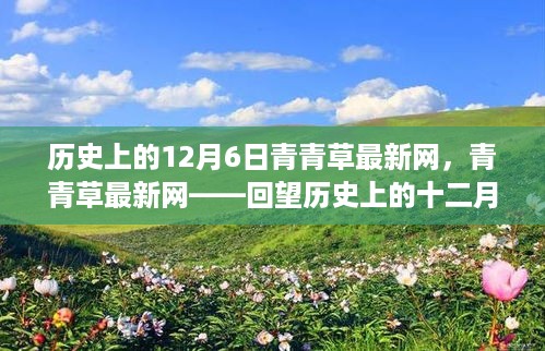 回望历史，青青草最新网在十二月六日的变迁与成长之路