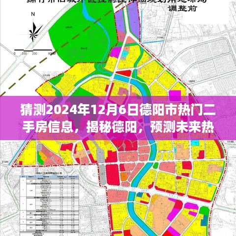 2024年12月7日 第12页