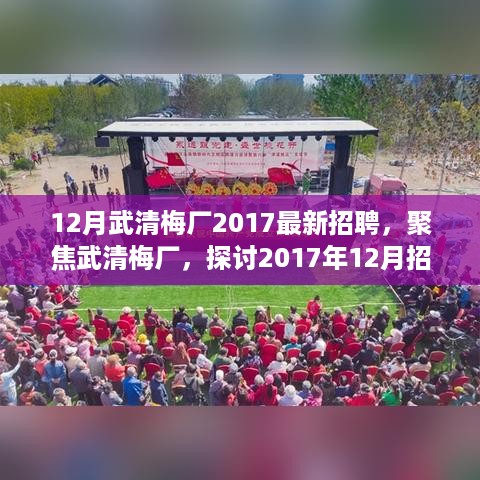 武清梅厂招聘新风向，机遇与挑战聚焦下的2017年12月招聘动态