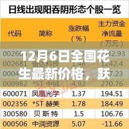 12月6日全国花生最新价格，跃动知识之光，掌握变化，把握机遇——全国花生最新价格的启示