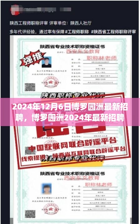 博罗园洲最新招聘指南，成功应聘的秘诀与步骤（2024年）