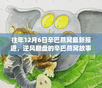 往年辛巴燕窝最新动态，逆风翻盘故事，自信与成就感的塑造之旅