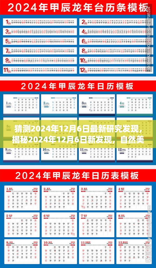 揭秘之旅，新发现与自然美景，探寻内心的平和与宁静（2024年12月6日最新研究）