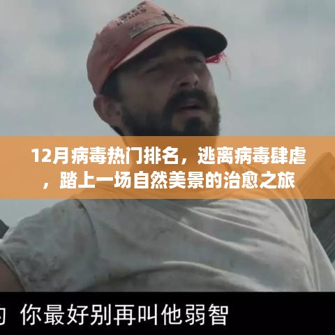 12月病毒热门排名背后的故事，一场自然美景的治愈之旅