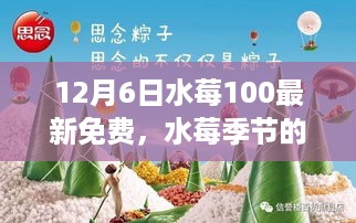 十二月奇迹之旅，水莓季节的探险与内心平静的追寻