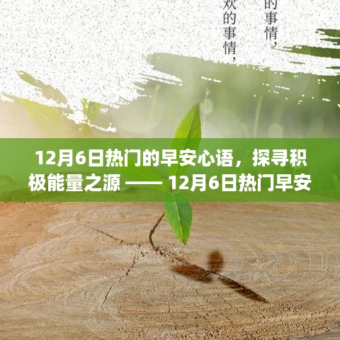 探寻积极能量之源，12月6日热门早安心语