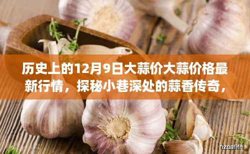 历史上的12月9日大蒜价格揭秘，蒜香传奇与特色小店的独特风情