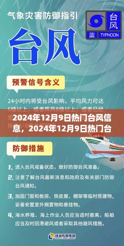 2024年12月9日热门台风信息，2024年12月9日热门台风信息详解，应对台风的全方位步骤指南