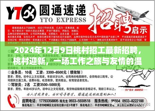 桃村迎新工作之旅，友情与就业机会的温暖邂逅（最新招聘）