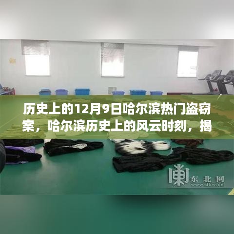 揭秘哈尔滨十二月九日重大盗窃案背后的风云时刻