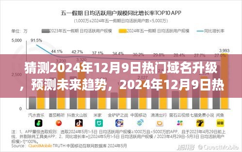 2024年12月9日热门域名升级前瞻，预测未来趋势的深度探索