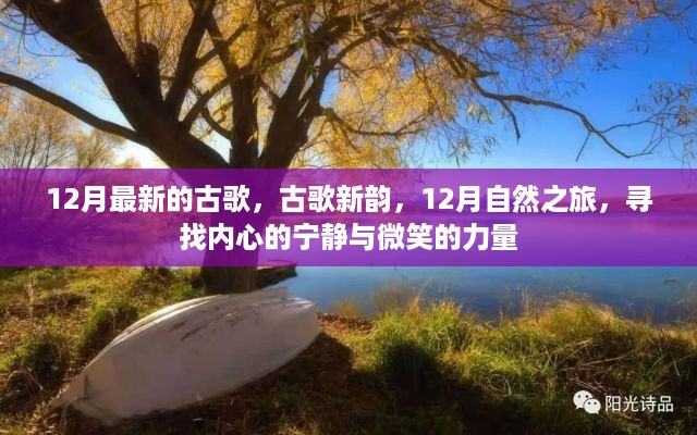 古歌新韵，12月自然之旅，探寻内心宁静与微笑的力量